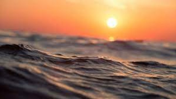 LA IMPORTANCIA DE UN SERVICIO EXPERTO